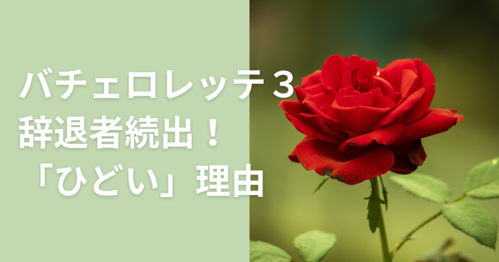 バチェロレッテ3 ひどい 辞退者 かわいそう モテない